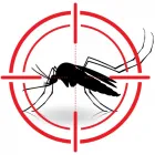Business 5 image PROFESSIONAL PEST CONTROL MELBOURNE Pest Management in Melbourne VIC