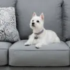 Business 2 image PROFESSIONAL UPHOLSTERY CLEANING MELBOURNE Upholstery in Melbourne VIC