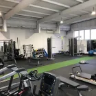 Business 1 image PROMOTION Physiotherapist in Claremont WA