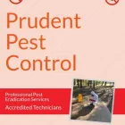 Business 3 image PRUDENT PEST CONTROL Wasp Nest Removal in Melbourne VIC