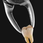 Business 12 image REDFERN DENTIST Dentist in Redfern NSW
