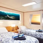 Business 3 image REEF ENCOUNTER ENTERPRISES Recreational Divers & Scuba in Cairns City QLD