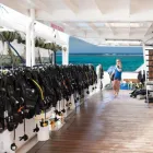 Business 1 image REEF ENCOUNTER ENTERPRISES Recreational Divers & Scuba in Cairns City QLD