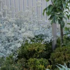 Business 3 image ROMANY LAMBERT Landscaping & Landscape Design in Melbourne VIC