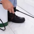 Business 6 image SAMS PEST CONTROL FITZGIBBON Pest Control in Fitzgibbon QLD