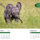 Business 1 image SANDS OF TIME- CUSTOM MADE CALENDARS Printers & Printing Services in Melbourne VIC