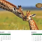 Business 2 image SANDS OF TIME- CUSTOM MADE CALENDARS Printers & Printing Services in Melbourne VIC