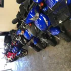 Business 1 image SCOOTER RENTALS Motorcycle Rental Agency in Petersham NSW