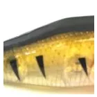 Business 1 image SCUMLINE FISHING TACKLE Whiting Poppers in Coffs Harbour NSW