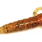 Business 3 image SCUMLINE FISHING TACKLE Whiting Poppers in Coffs Harbour NSW