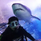 Business 4 image SEA LIFE SYDNEY AQUARIUM what's on Sydney in Sydney NSW