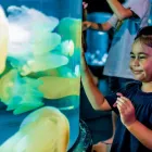 Business 11 image SEA LIFE SYDNEY AQUARIUM what's on Sydney in Sydney NSW