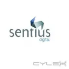 Business 2 image SENTIUS DIGITAL - DIGITAL AGENCY Web Marketing Agency in Melbourne VIC