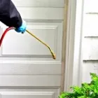 Business 1 image SERVICENOW TRADES Pest Control Companies in Sydney NSW