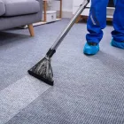 Business 1 image SES CARPET CLEANING BRISBANE Carpet Repair in Brisbane QLD