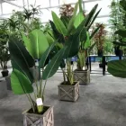 Business 1 image SHARETRADE ARTIFICIAL PLANT AND TREE MANUFACTURER CO., LTD Art Supplies in Adelaide SA