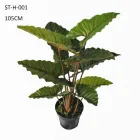 Business 4 image SHARETRADE ARTIFICIAL PLANT AND TREE MANUFACTURER CO., LTD Art Supplies in Adelaide SA