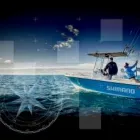 Business 2 image SHIMANO AUSTRALIA FISHING Fishing Tackle in Taren Point NSW