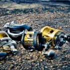 Business 5 image SHIMANO AUSTRALIA FISHING Fishing Tackle in Taren Point NSW