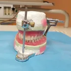 Business 1 image SHOWGROUND DENTAL CARE Dentist in Sydney NSW