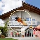 Business 1 image SILVERFISH CONTROL ADELAIDE Pest Inspection in Adelaide SA
