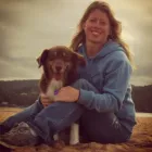 Business 1 image SITDROPSTAY CENTRAL COAST one on one dog training in North Avoca NSW
