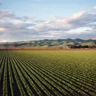 Business 1 image SOILCHARGE Agricultural Services in Dewhurst VIC