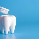 Business 4 image SOUTH COAST ORTHODONTICS Family Dental Care in Corrimal NSW