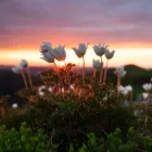 Business 3 image SOUTHEAST FUNERAL CARE Funerals in Dandenong South VIC