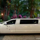 Business 1 image SOUTHERN CROSS STRETCH LIMOUSINE SERVICES Limo Hire in Cairns QLD