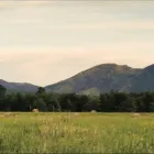 Business 1 image SPROUTAG Financial Planning in Brisbane QLD