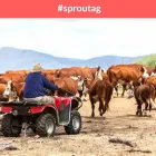 Business 3 image SPROUTAG Financial Planning in Brisbane QLD