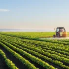 Business 4 image SPROUTAG Financial Planning in Brisbane QLD