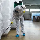 Business 1 image SQUEAK PEST BED BUG CONTROL MELBOURNE Pest Control in Melbourne VIC