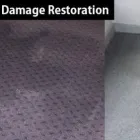Business 2 image SQUEAKY CLEAN CARPET Home Cleaning in Melbourne VIC