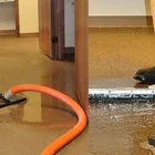 Business 1 image SQUEAKY CLEAN CARPET Home Cleaning in Melbourne VIC