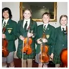 Business 1 image ST CECILIA SCHOOL OF MUSIC & EXAMINATIONS Violins in Launceston TAS
