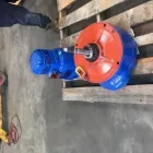 Business 10 image STATEWIDE OVERHEAD CRANES SERVICES Technician in Bellevue WA