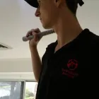 Business 2 image STOP BUGGING ME PEST CONTROL White Ants in Sydney NSW