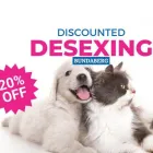 Business 1 image SUGARLAND ANIMAL HOSPITAL Animal Hospital in Bundaberg QLD