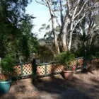 Business 2 image SUNFLOWER CLINIC AUSTRALIA Live Blood Analysis in Adelaide in Echunga SA