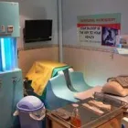Business 5 image SUNFLOWER CLINIC AUSTRALIA Live Blood Analysis in Adelaide in Echunga SA
