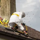 Business 1 image SWAT-A-PEST White Ant Treatment in Kelmscott WA