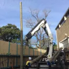 Business 3 image SYDNEY LEVEL 2 Electricians & Electrical Contractors in Miranda NSW