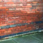 Business 1 image SYDNEY RISING DAMP Rising Damp - Repairs & Waterproofing in Newtown NSW