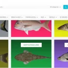 Business 3 image TACKLE PARADISE AUSTRALIA Fishing Trips in Sydney NSW