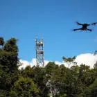 Business 3 image TERN Education in Indooroopilly QLD