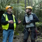 Business 4 image TERN Education in Indooroopilly QLD