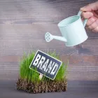 Business 3 image THE MARKETING STRATEGY CO Writing Services in Sydney NSW