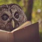 Business 1 image THE UNUSUAL PET VETS Veterinary Surgery in Balcatta WA